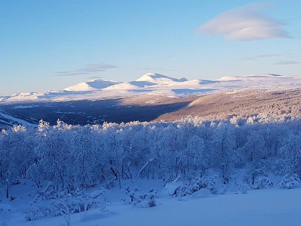 Bruksvallarna - Modern Fjaellstuga Med Panoramautsikt Och Wifi ภายนอก รูปภาพ