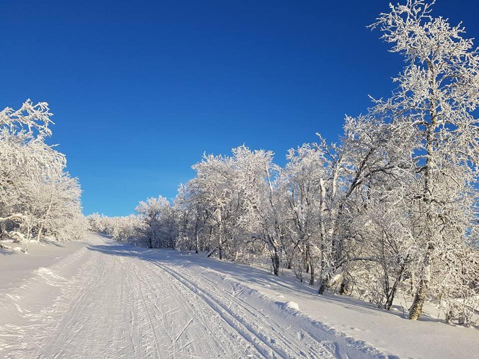 Bruksvallarna - Modern Fjaellstuga Med Panoramautsikt Och Wifi ภายนอก รูปภาพ