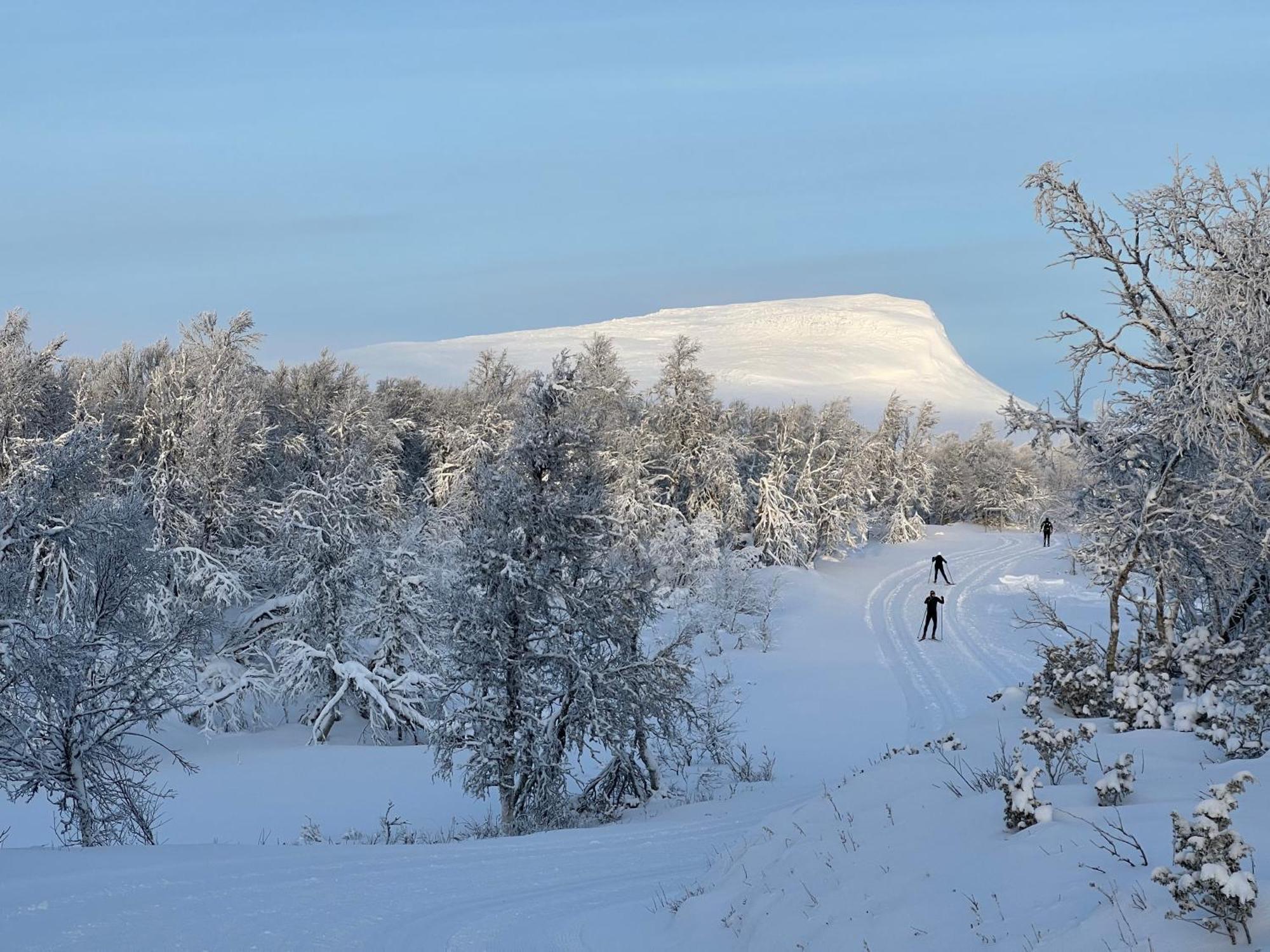 Bruksvallarna - Modern Fjaellstuga Med Panoramautsikt Och Wifi ภายนอก รูปภาพ